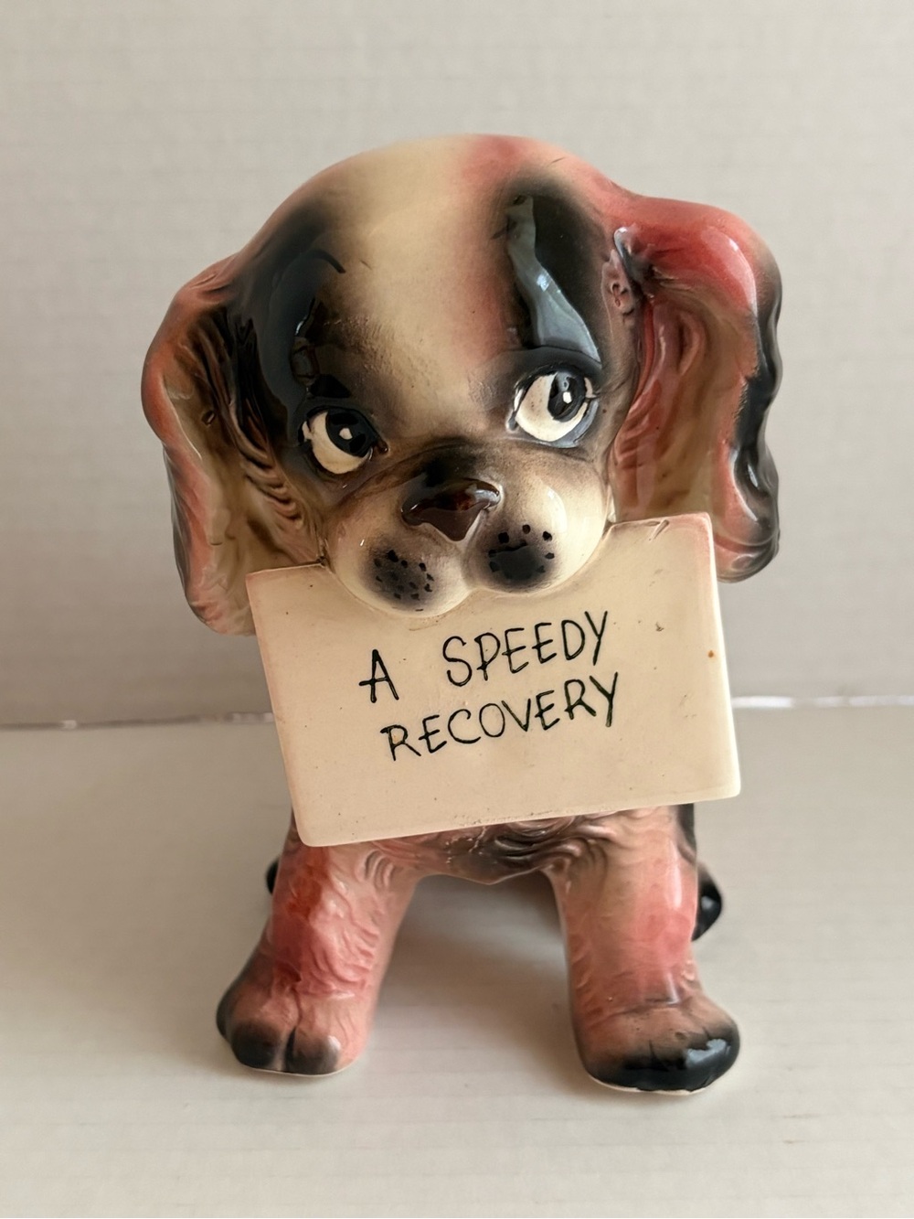 Vintage Ceramic Dog planter  'A Speedy Recovery'